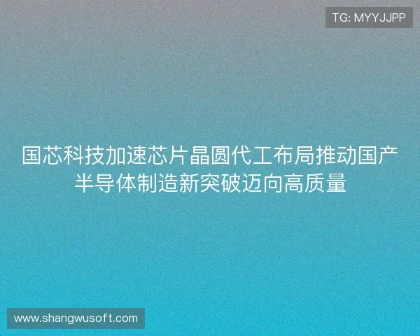 国芯科技加速芯片晶圆代工布局推动国产半导体制造新突破迈向高质量 国芯科技加速芯片晶圆代工布局推动国产半导体制造新突破迈向高质量